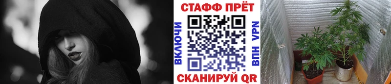 Где купить наркоту Железногорск ГАШ  Канабис  Кокаин  МЕФ 