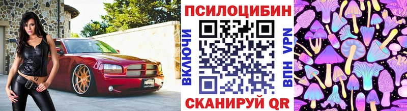 Галлюциногенные грибы Psilocybe  где продают наркотики  Железногорск 